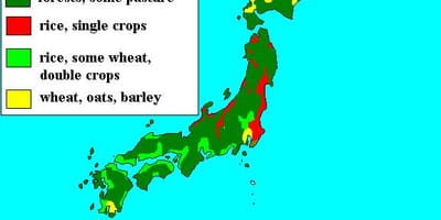 Mapa Japonii lasu