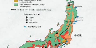 Mapa Japonii rolnictwo